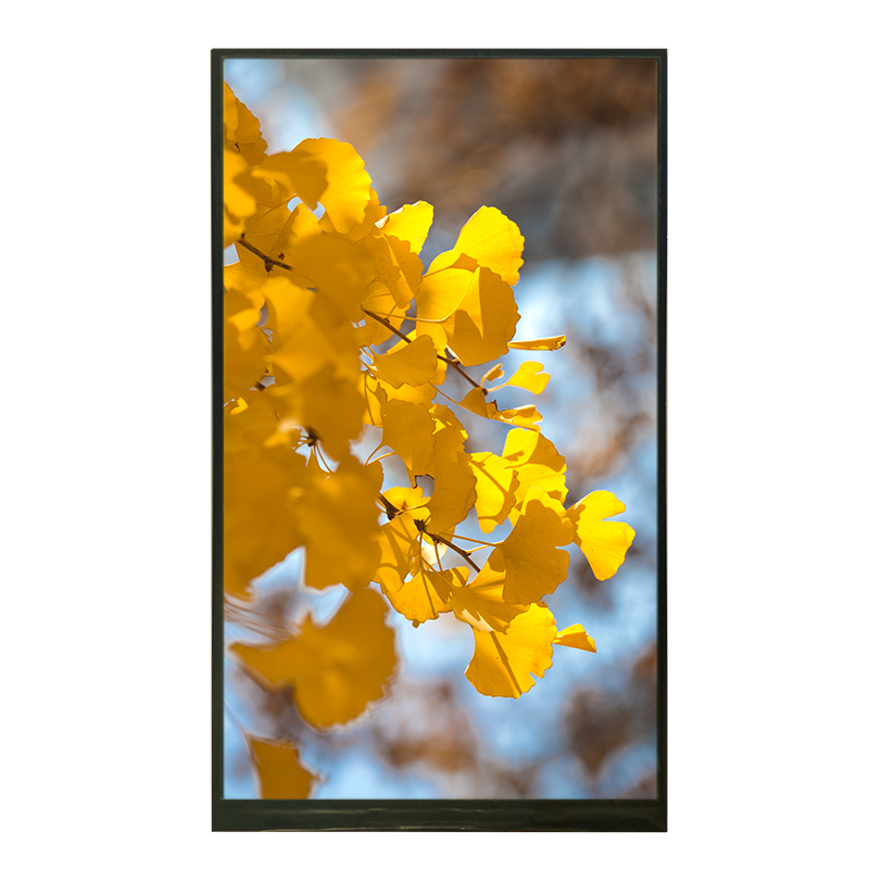 6.95英寸600*1024分辨率16:9LCD显示屏